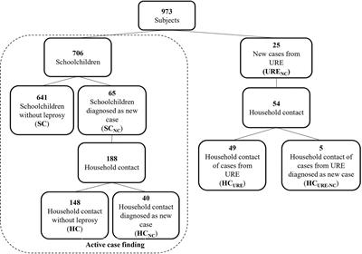 NDO-BSA, LID-1, and NDO-LID Antibody Responses for Infection and RLEP by Quantitative PCR as a Confirmatory Test for Early Leprosy Diagnosis